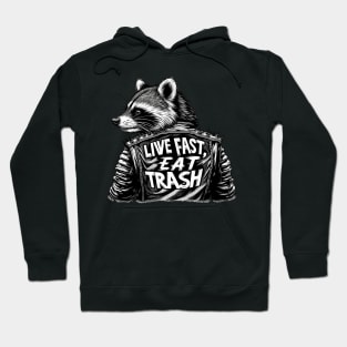 Rebel Raccoon: Streets & Scraps Hoodie